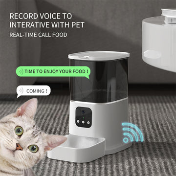 Set the time, record your voice, and keep your pet fed!